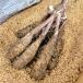8ps.@ seed tuber L size kind .. Chinese yam Trophy 1066 (...) Aomori production yam .... rice S payment on delivery un- possible ( registration goods kind name : Trophy 1066)