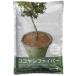 25 пакет здесь cocos nucifera волокно 100g здесь cocos nucifera камни на дно горшка цветок растения садоводство садоводство Pro to leaf PROTOLEAFka. оплата при получении не возможно дом частного лица рассылка не возможно 