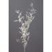 �C�^���A�����X�J�X �I�t�z���C�g 76-3910-11 �v���U�[�u�h�t�����[ �v���U�[�u�h���[�t �A�����W�����g �ԍ� ��n�_�� ��K ����s��