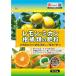 40�� �������E�~�J���E���k�ނ̔엿 500g ���� �ʎ� �V�R���� ���S �琬 �����z�� ���t�� �L�@�u�����h �y �y�� ���� ���C�� ���Y �^S �l��z���s�� ����s��