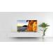 TVS REGZA 40V35S (REGZA) наземный *BS*110 раз CS цифровой full hi-vision жидкокристаллический телевизор 40V type 
