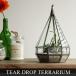  Teardrop террариум L размер Tear Drop Terrarium *L~.... соответствует 