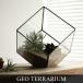  geo террариум S размер Geo Terrarium *S~