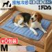 �y�I�ׂ���T�t�z�y�b�g �Ђ���}�b�g �N�[���}�b�g �ڐG�⊴ �� �L AVANTPET Cooling Mat M �A�o���y�b�g �N�[�����O�}�b�g �؍��� �⊴ �}�b�g ��