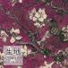  ڤ ػĥ 󥳡 FURNISHING TEXTILE ǥ T-9520 1mʾ10cmñ̡