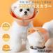 PVC soft легкий собака для кошка для для домашних животных soft ветеринарный воротник простой оборудован шея .. мягкий кошка для собака для товары для ухода 