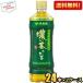 ���Ԍ������ �ɓ��� ���`������ �Z���� 600ml�y�b�g�{�g�� 48�{(24�{�~2�P�[�X) ���[������ �Z������ ����
