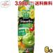�J�S�� ��ؐ���100 Smoothie �O���[���X���[�W�[ 1000g���p�b�N 6�{�� ��ؐ��� �X���[�W�[ ��؃W���[�X ����
