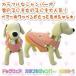  dog wear colorful jumper 5398 1
