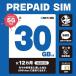  mobile *p running 202306013012 Rakuten plipeidoSIM every month 30GB the first month +12 months SMS reception possible 