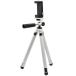 . болото association 821515 KING штатив Rainbow eitoKRE8-WH белый 