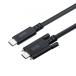 Sanwa Supply KU-20GCCPEDSL10 USB 20Gbps Type-C кабель ( двойной винт блокировка *240W*1m)