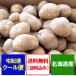  самый короткий отправка средний in ka. ... бесплатная доставка Hokkaido картофель in ka. ...10kg L размер .... ... картофель in ka овощи jagaimo