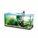  Spectrum Blanc z Japan Tetra Tetra стекло аквариум все стакан аквариум GA-600F аквариум аквариум тропическая рыба me Dakar золотая рыбка цена. 1 шт. . цена. 