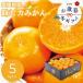  подарок по случаю конца года 2025 зима подарок фрукты Ehime префектура производство JA запад . мир тест .. мандарин (5kg) 1487815 производство прямой сельское хозяйство производство 25-1042-589 [ производитель прямая поставка ]