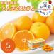  подарок по случаю конца года 2025 зима подарок фрукты Wakayama префектура производство .... мандарин (5kg) 1775862 производство прямой сельское хозяйство производство 25-1228-534 [ производитель прямая поставка ]