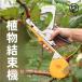 садоводство для tying machine лента na- сменный приятный .. растения веранда поле простота установки инсектицид меры zonchi- наружный для практический удобный удобный рекомендация выбор ...tei Lee многоцелевой 