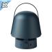 IKEA - Ikea - VAPPEBY -vape Be -Bluetooth динамик лампа наружный для / голубой 25x17 cm (105.152.73)