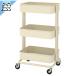 �y IKEA - �C�P�A -�zRASKOG -���[�X�R�O- �L�b�`�����S�� �o�X���S�� �x�[�W�� 35x45x77cm �V�F���t (206.297.21)