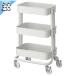 IKEA - �C�P�A -  RASKOG - ���[�X�R�O - �L�b�`�����S�� �o�X���S�� �z���C�g 28x38x61 cm �X���[���T�C�Y (405.867.92)