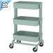 �y IKEA - �C�P�A -�z RASKOG - ���[�X�R�O - �L�b�`�����S�� �o�X���S�� ���C�g�^�[�R�C�Y 28x38x61 cm �X���[���T�C�Y (406.297.20)