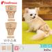 [60%OFF] для маленьких собак ремень type гигиенический брюки fea органический 1~3 номер pompo lease 2209 * возвращенный товар замена не возможна 