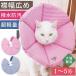  ветеринарный воротник собака кошка soft водоотталкивающий легкий .. трудно -тактный отсутствует уменьшение царапина облизывание . после длинный brilliant ветеринарный воротник серебристый жевательная резинка 4 номер 5114pompo lease 