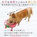 �� �L �H��䁕�H�� �ؐ� ���� �f���߂��h�~ ���S�y�� ����~�� ���� �r�t�{�E���X�^���h�{���퐻�t�[�h�f�B�b�V���Z�b�g 9455-SET �|���|���[�X �֘A�摜2