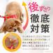 �� �n�[�l�X ���^�� ���� ���[�h �����Ȃ� �ジ���� ���S�����Ȃ� �ȒP���� �y�� �X�[�p�[�n�[�l�X�����[�h �g���R���[���l�I 3S�`3�� 9713 �|���|���[�X �֘A�摜3