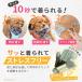 �� �n�[�l�X ���^�� ���� ���[�h �����Ȃ� �ジ���� ���S�����Ȃ� �ȒP���� �y�� �X�[�p�[�n�[�l�X�����[�h �o���_�i�r���e�[�W�f�j�� 1�`3�� 9714 �|���|���[�X �֘A�摜4