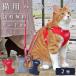  кошка. Harness кошка кошка для шлейка с поводком есть домашнее животное Harness кошка . шлейка прогулка выпадение нет кошка для super шлейка & Lead 2 номер (9818)pompo lease 