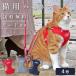  кошка. Harness кошка кошка для шлейка с поводком есть домашнее животное Harness кошка . шлейка прогулка выпадение нет кошка для super шлейка & Lead 4 номер (9818)pompo lease 