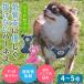 �� �n�[�l�X ���^�� ���� ���[�h �����Ȃ� �ジ���� ���S�����Ȃ� �ȒP���� �X�[�p�[�n�[�l�X &amp;���[�h ���b�V�� �h�b�O�X�^�[ 4�`5�� 9717 �|���|���[�X