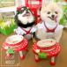 �� �L �H��� �ؐ� �f���߂��h�~ ���S�y�� �t�[�h�X�^���h �r�t�� ����~�� ���ё� �H�ׂ₷�� �a���� ���� �H��� �g���s�J���t���[�c 9455 �|���|���[�X �֘A�摜4