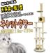.. обивка дерево .. башня для кошки paul (pole) .. дом есть кошка Chan tower коготь .. развлечение место кошка .. домашнее животное товары PT0022A