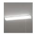 �y�����ʁzODELIC�i�I�[�f���b�N�j:OB255232 20W���� �����F LED�L�b�`�����C�g 4905090713594