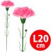 ԥ󥯥͡()20cmַ/6cmۡPE1