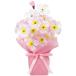 ȥݥåȡH24W16cmۡԿۡPE1