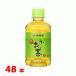 �ɓ��� ���[������ �Β�PET280��l 24�{�~2�P�[�X �v48�{ ���`������