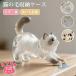 �P�[�X ��уP�[�X 2�_�Z�b�g �y�b�g ��� �L�^ �L�[�z���_�[ �`���[���]���`�[���� ��ѓ��� �L�̖ю��[�{�g�� ������ �� �� �Ђ� �����ю��[ �`�� �v���o