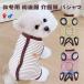 ���� �p�㕞 ��앞 �p�W���} �H�~�p ���N�� �w���J�� �h�� �ۉ� �_�炩���]���`�[�G���U�x�X�J���[ �̑���� ���^�� ��D ���� �I�X ���X ���̎q �j�̎q