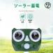  защита от кошек меры кошка .. водонепроницаемый 360° защита IP56 ультразвук ... меры кошка исключая . собака исключая .zonchi- животное .. контейнер солнечный &USB зарядка птица исключая . мышь ..
