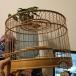  bird клетка птица . салон вне двоякое применение птица сопутствующие товары мера документ птица маленькая птица садок для разведения перемещение удобный выход zonchi- товары для домашних животных клетка для птиц ... длиннохвостый попугай для Carry 