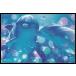 クリスチャン ラッセン(Christian Riese Lassen) 「Kissing Dolphins」　ポスター　フレームセット(170405)
