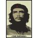 チェ・ゲバラ　Che Guevara (Khaki Green) ポスター フレームセット(120621)
