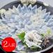  Fukuoka [.. Taro книга@ часть ].... sashimi комплект (2 порции )
