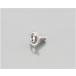 Kitaco KITACO фланец есть кнопка колпак болт M6 / P1.0×12mm 1 штук 