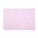  Echizen Japanese paper place mat gold silver . dragon .. paper pink 
