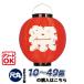 (10�`49��) �ڊ� ��(��) �|���� | ��25.5�~H27cm �Ղ� ����