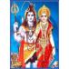 ����ɤο��� ���������ѡ�������ƥ����� ����ꥫ���ɡ�1��[016] India God��Siva��Parvati��Small Card (Charm)